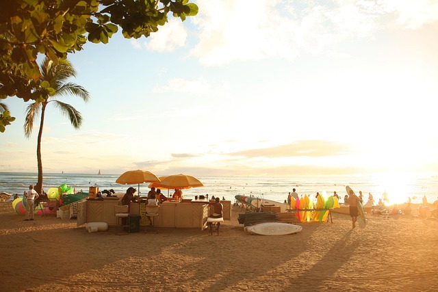 Hawaii sea turtle - HR Hawaii compliance expertise that stands the test of time